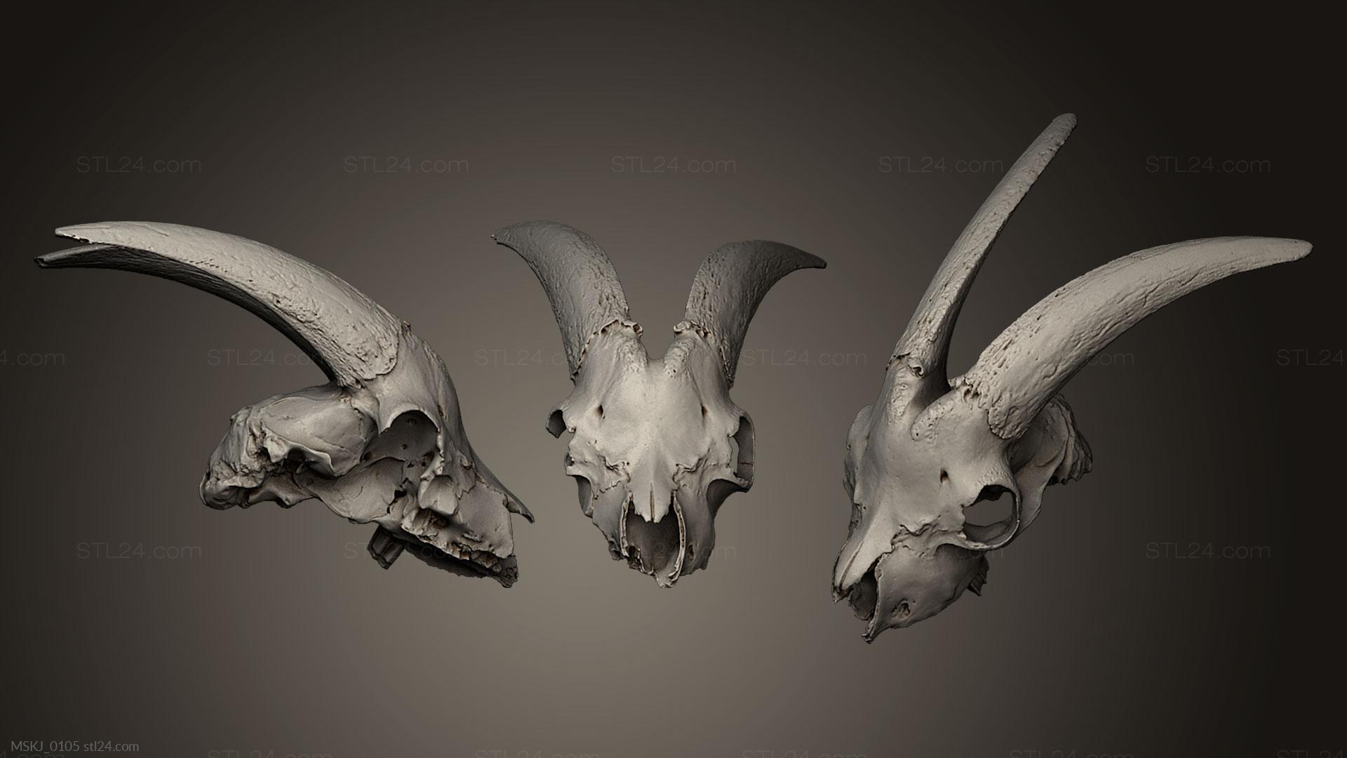 Маски и морды животных (Козий череп, MSKJ_0105) 3D модель для ЧПУ станка
